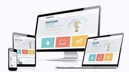 web professional